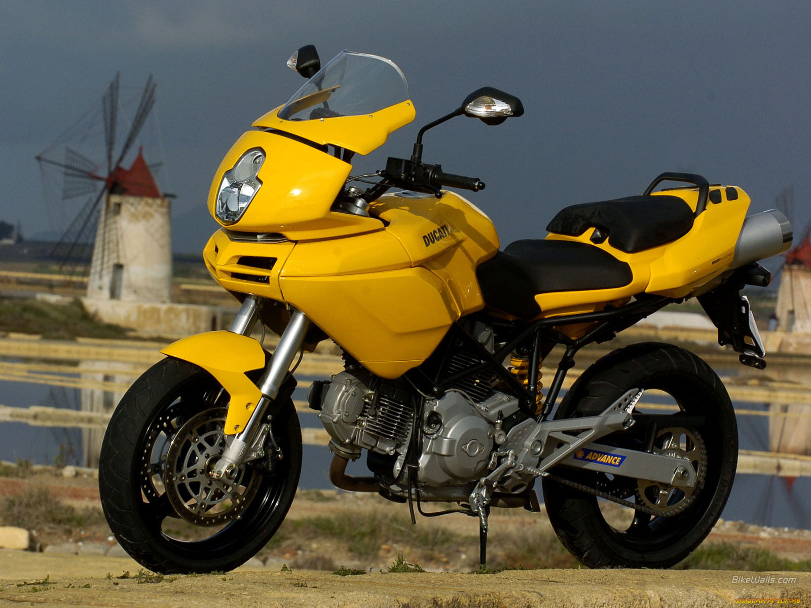 , ducati
